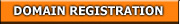 Domain name registration